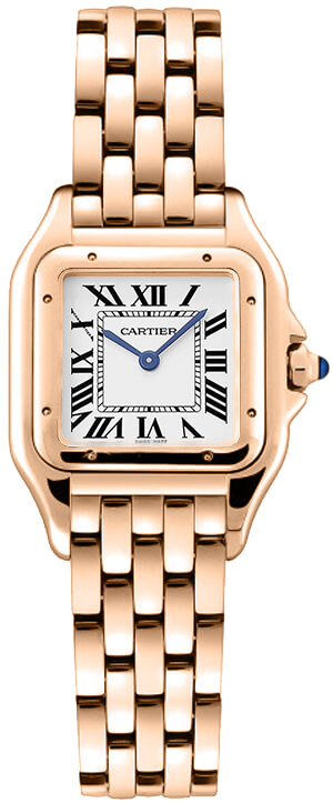 Cartier Panthere De Cartier Watches Ladies Silver Battery Operated Quartz WGPN0006 Watch