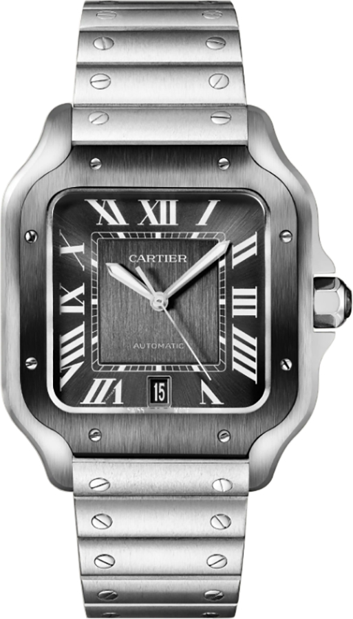 Cartier Santos De Cartier Watches Mens Grey Self Winding Automatic WSSA0037 Watch