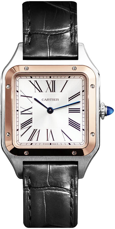 Cartier Santos De Cartier Watches Mens Sunray Silver Battery Operated Quartz W2SA0011 Watch