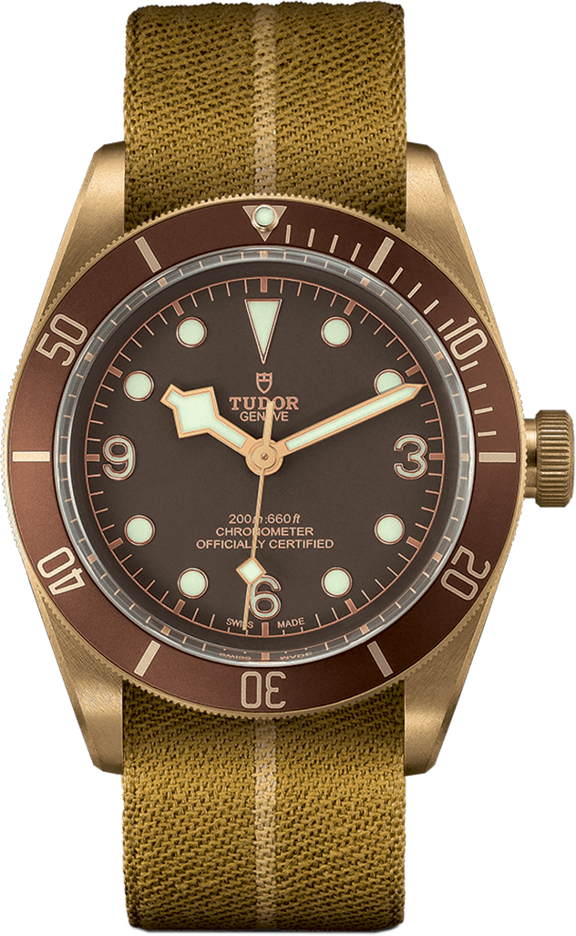Tudor Heritage Line Watches Brown Self winding Automatic M79250BM-0003 Watch