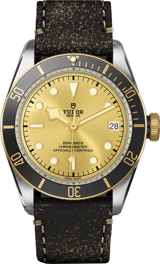 Tudor Heritage Line Watches Champagne Self winding Automatic M79733N-0003 Watch