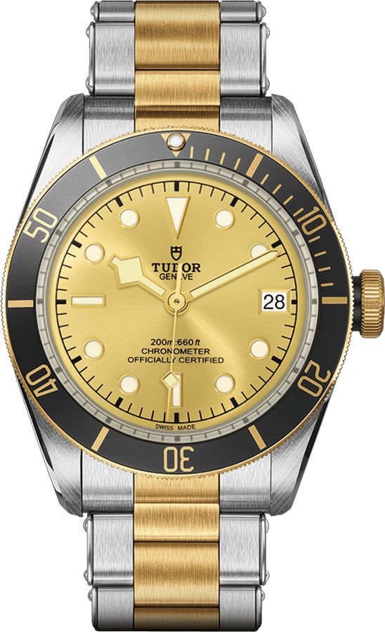 Tudor Heritage Line Watches Champagne Self winding Automatic M79733N-0004 Watch