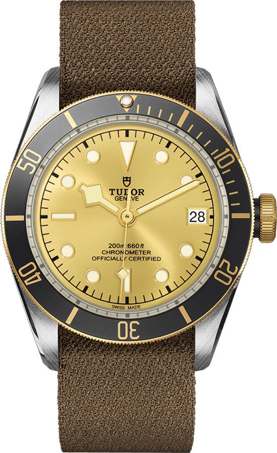Tudor Heritage Line Watches  Champagne Self winding Automatic Chronometer M79733N-0006 Watch